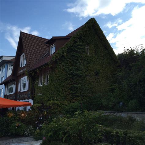 tripadvisor bergen auf rügen